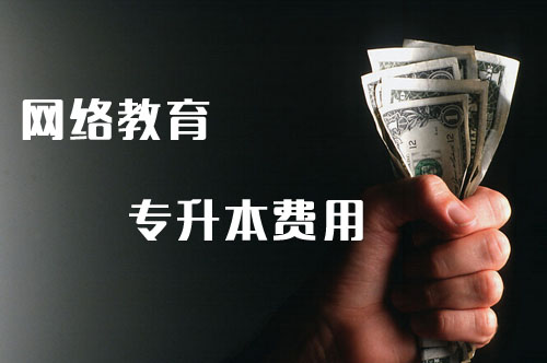 成人高考與網(wǎng)絡(luò)教育