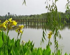 河南中醫(yī)藥大學(xué)風(fēng)景