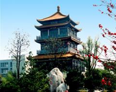 河南中醫(yī)藥大學(xué)風(fēng)景