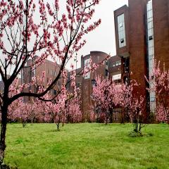 四川農(nóng)業(yè)大學(xué)校園風(fēng)景